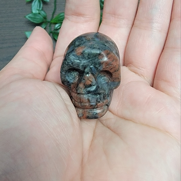 Skull - Picture 3 of 6